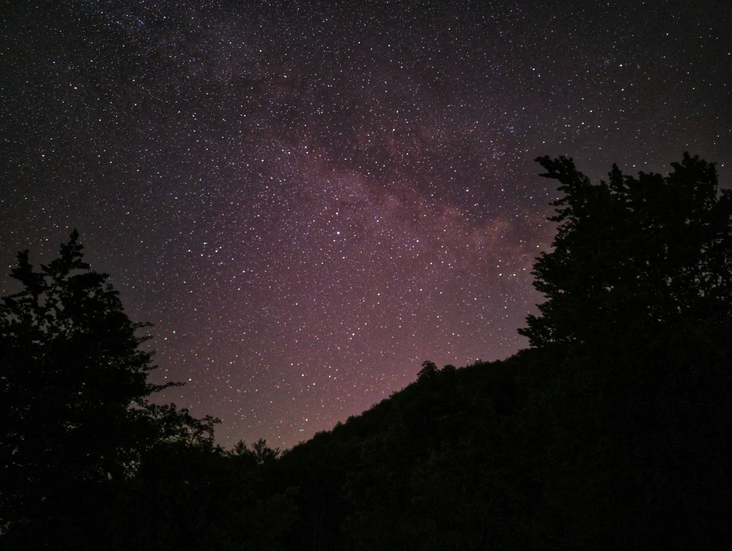 stelle Dario Rossi.