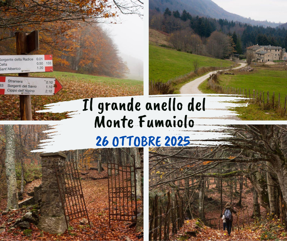 progetto sito fumaiolo