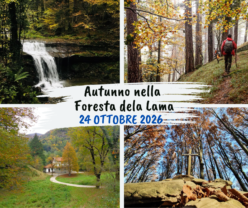 progetto Lama autunno 2026