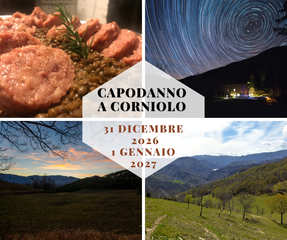 progetto sito Capodanno 2026-2027
