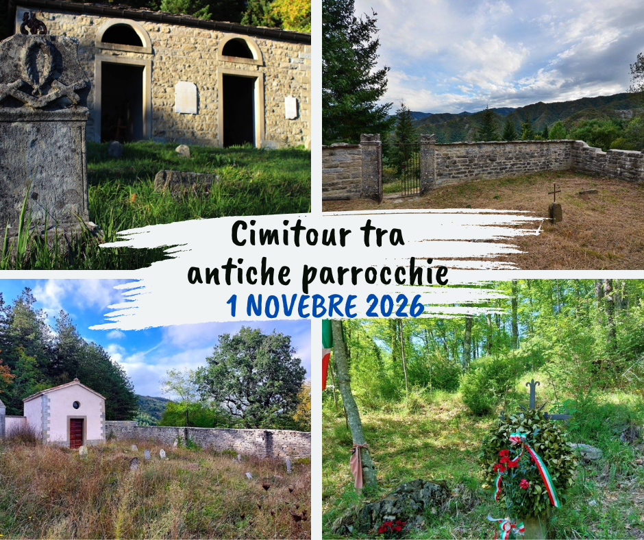 progetto sito cimitour 2026